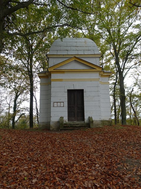 DSC06785.JPG