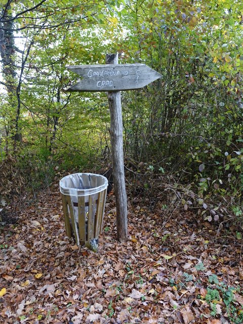 DSC06787.JPG