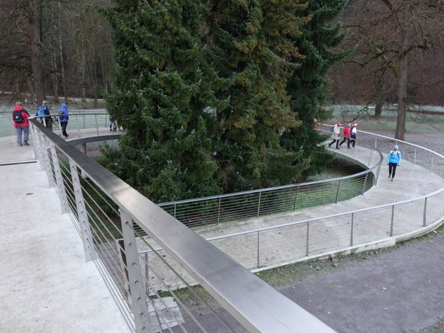DSC09089.JPG