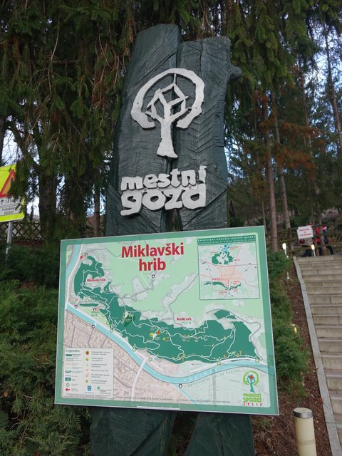 DSC09092.JPG