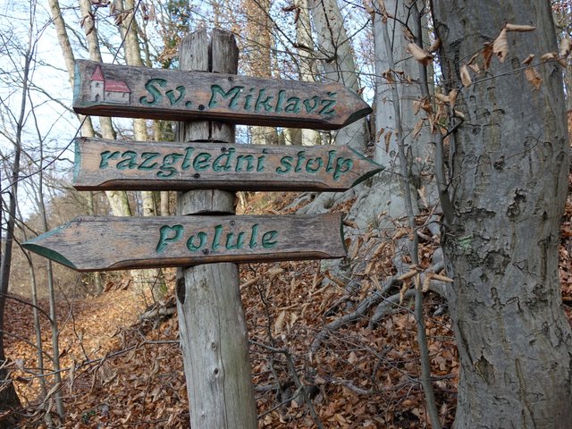 DSC09095.JPG