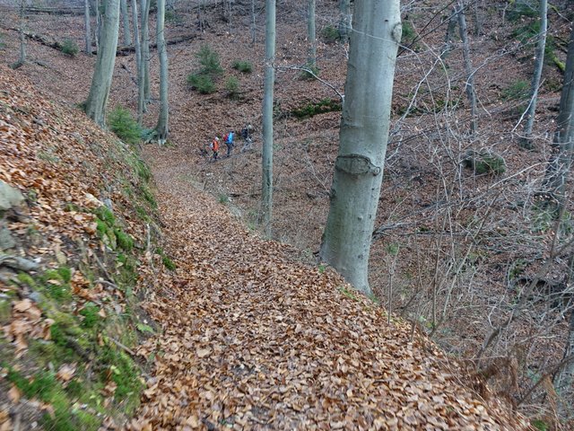 DSC09100.JPG