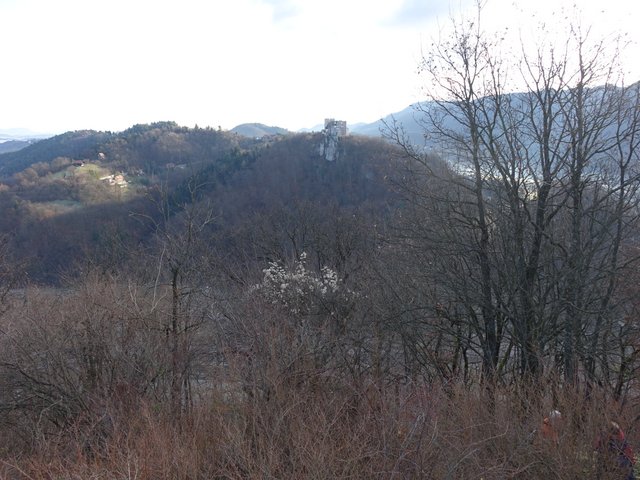 DSC09109.JPG