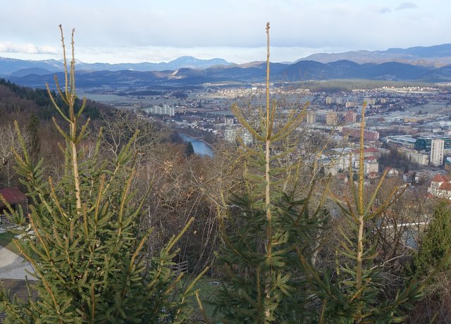 DSC09112.JPG