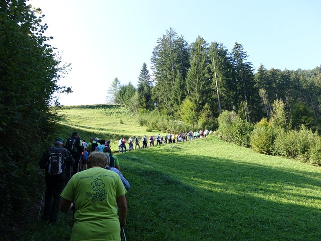 DSC04387.JPG