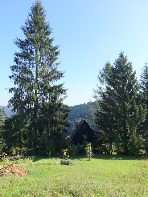 DSC04395.JPG