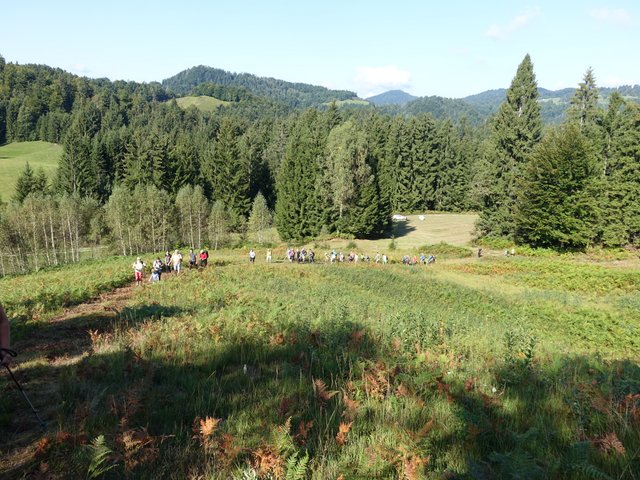 DSC04398.JPG