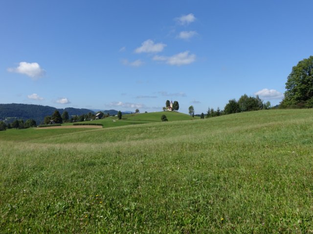DSC04436.JPG