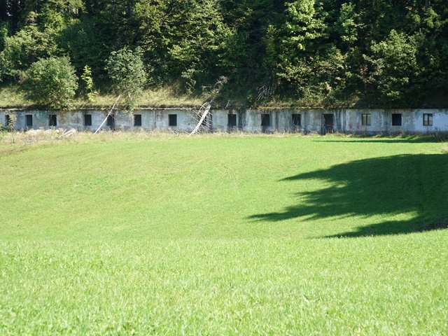 DSC04496.JPG