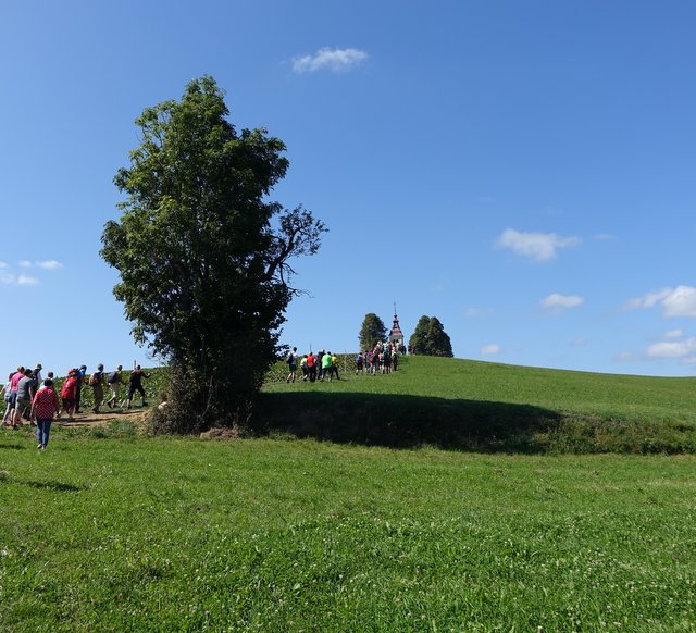 DSC04497.JPG
