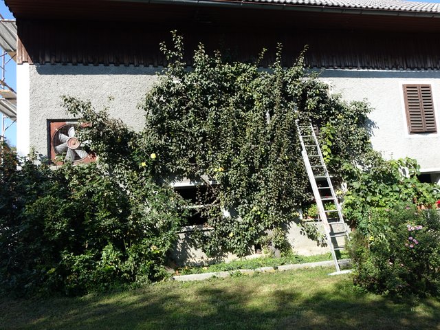 DSC04553.JPG