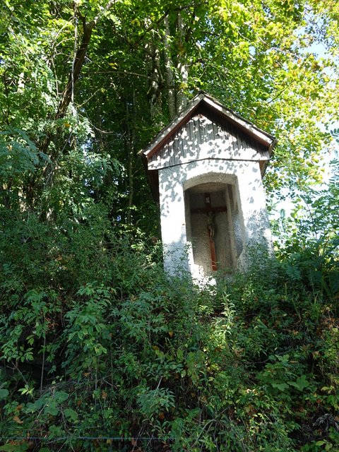 DSC04554.JPG