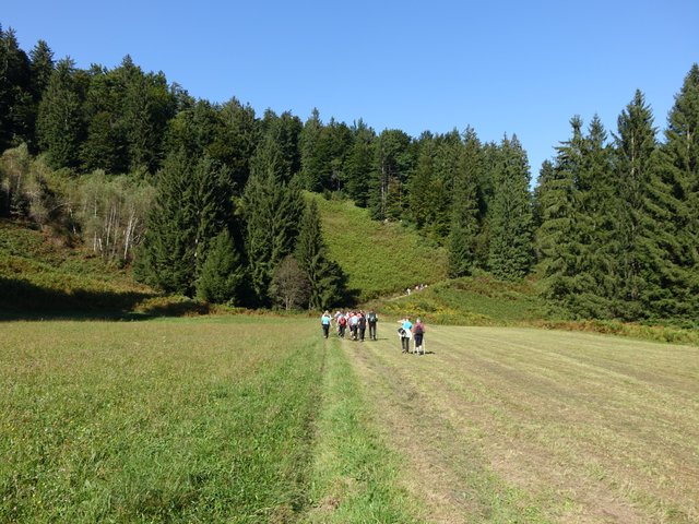 DSC04556.JPG