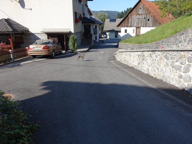 DSC04558.JPG