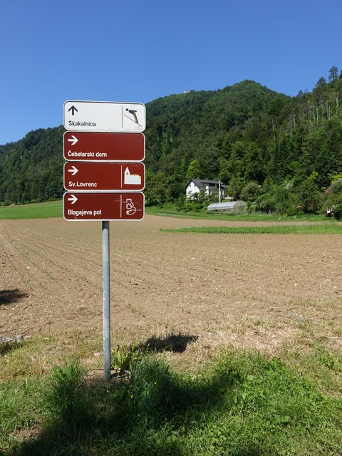 DSC04694.JPG