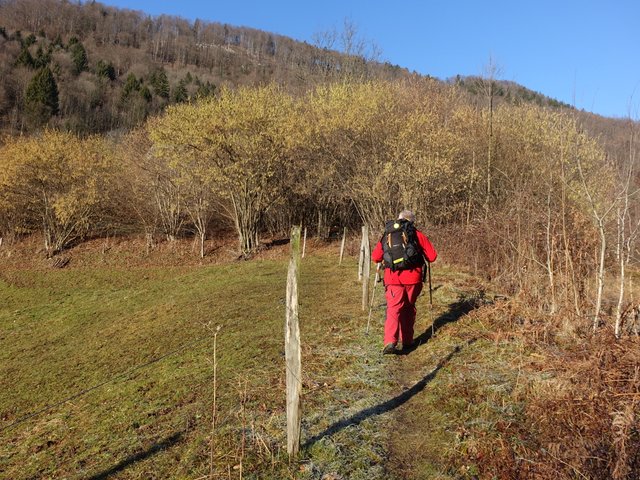 DSC00860.JPG