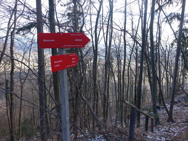 DSC00874.JPG