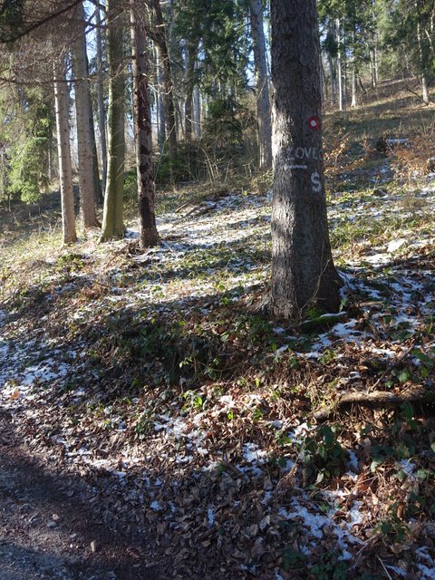 DSC00878.JPG