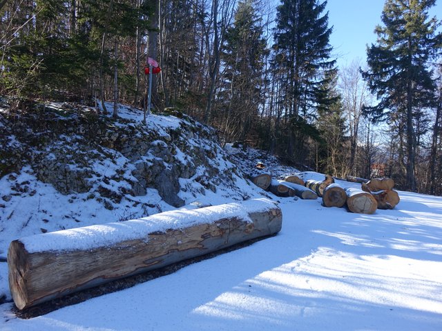 DSC00912.JPG