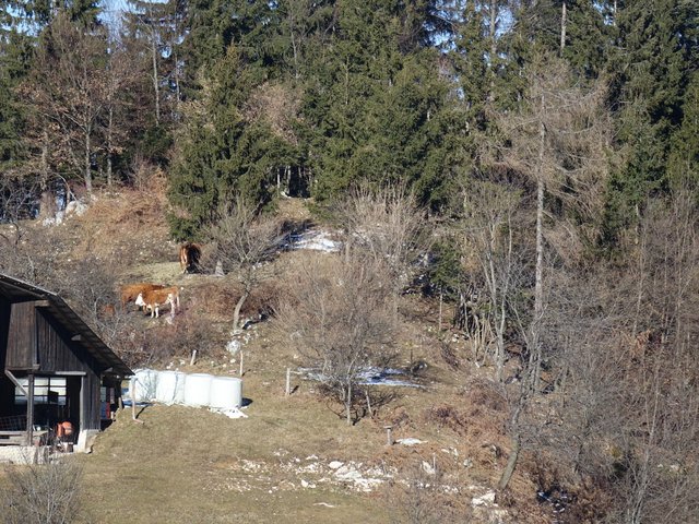 DSC00917.JPG