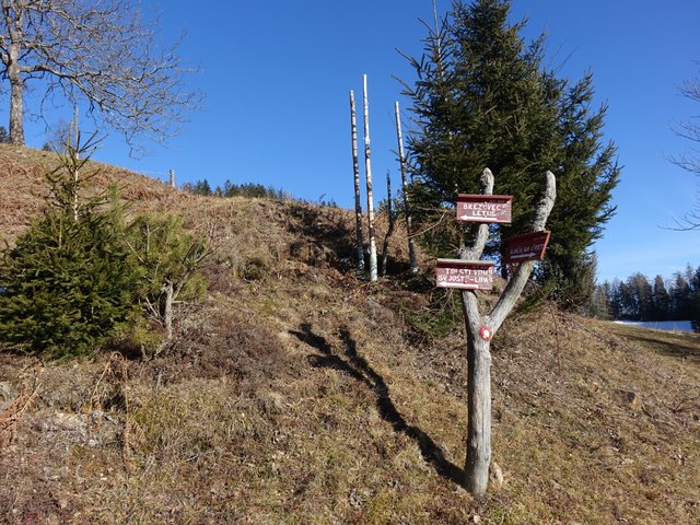 DSC00935.JPG