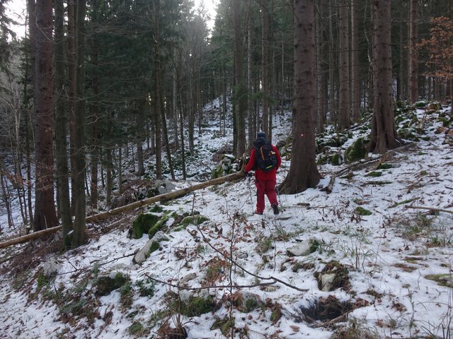 DSC00967.JPG