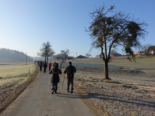 DSC01535.JPG