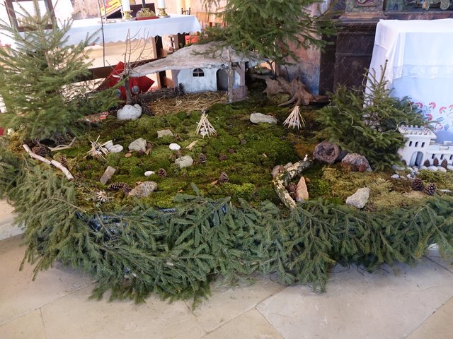 DSC01558.JPG
