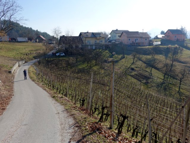 DSC01591.JPG