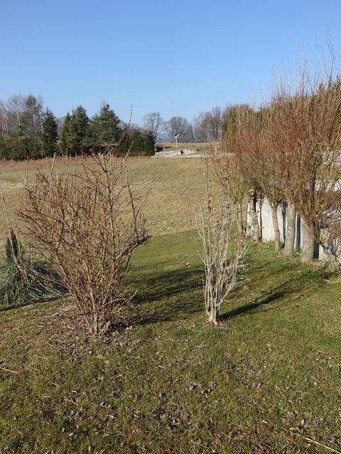 DSC01609.JPG