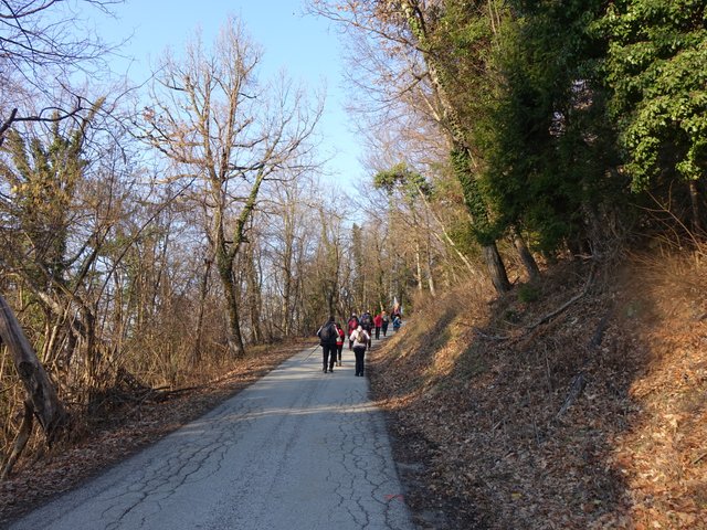 DSC04241.JPG