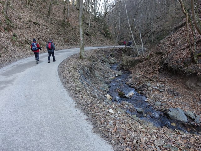 DSC04279.JPG