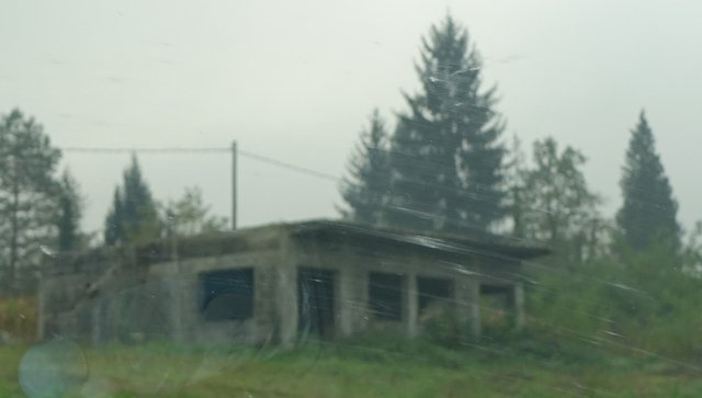 DSC01219.JPG