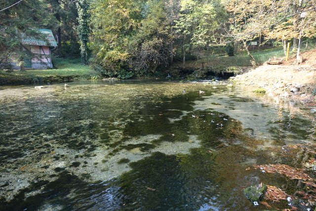 DSC01248.JPG