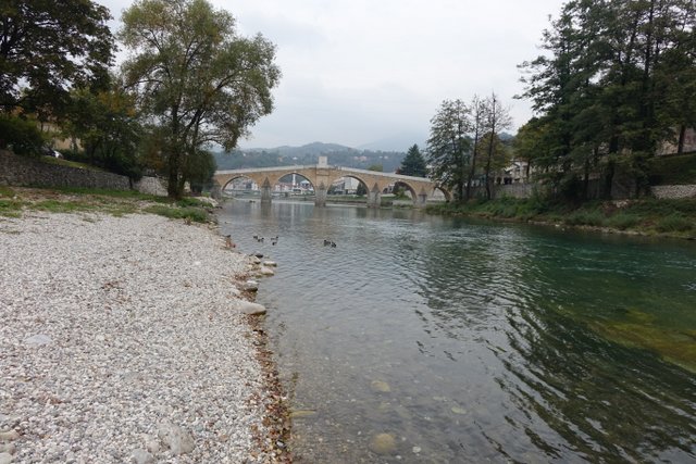 DSC01458.JPG