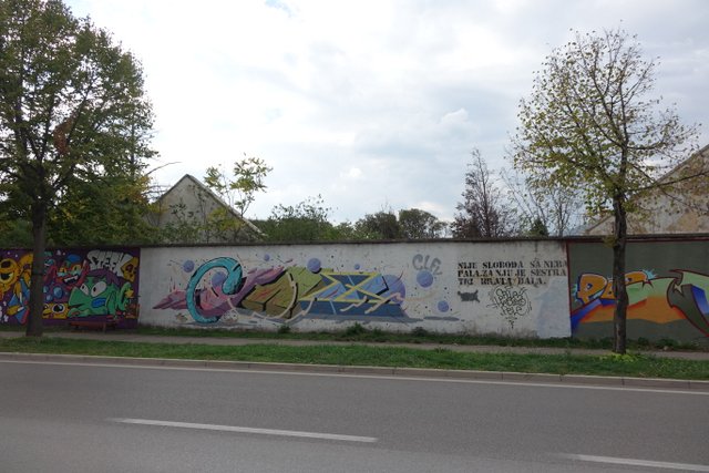 DSC01568.JPG