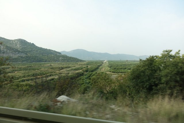 DSC01930.JPG