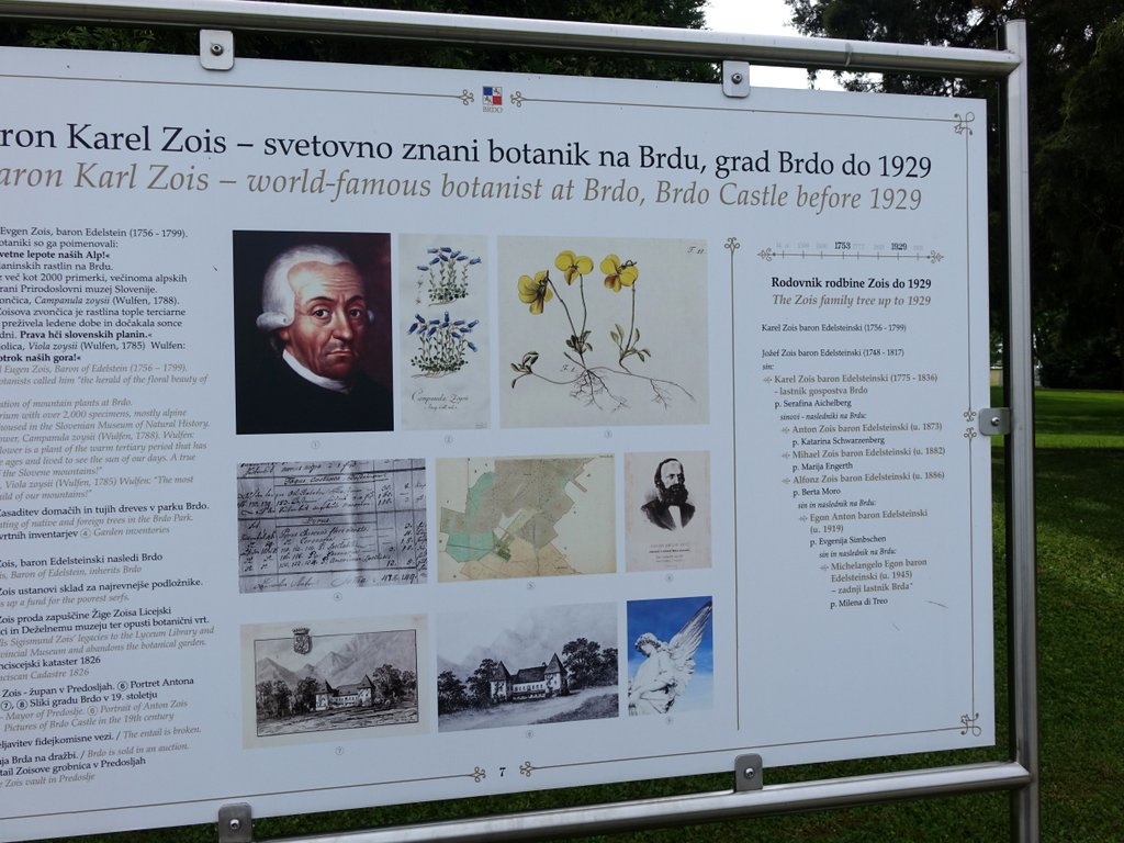 DSC04482.JPG