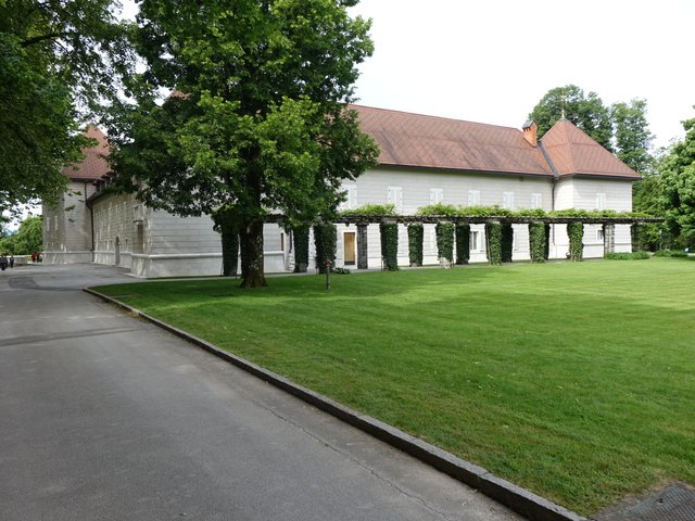 DSC04486.JPG
