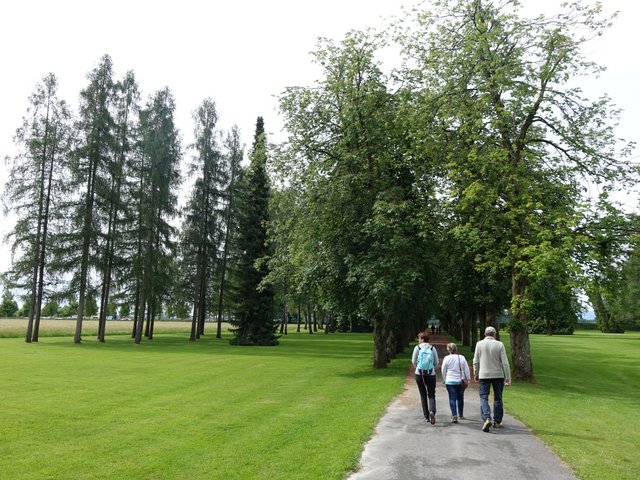 DSC04492.JPG