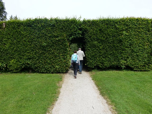 DSC04497.JPG