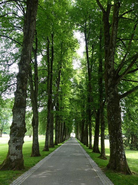 DSC04502.JPG
