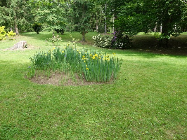 DSC04535.JPG