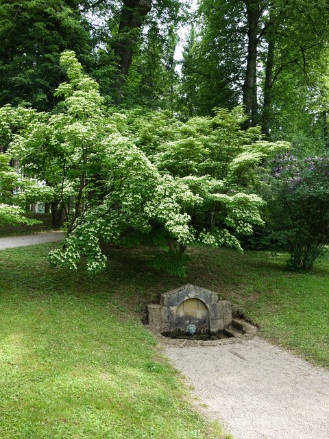 DSC04536.JPG