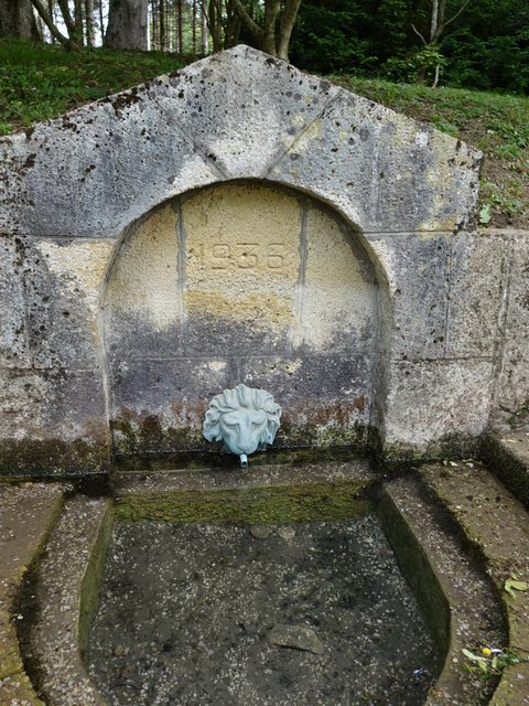 DSC04537.JPG