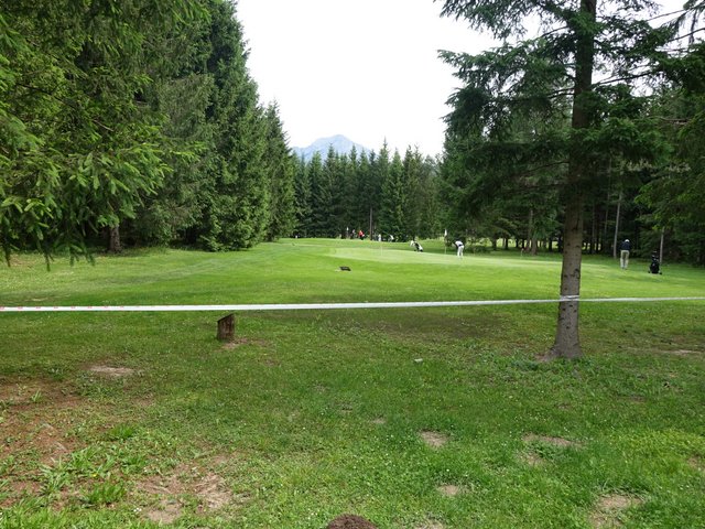 DSC04539.JPG
