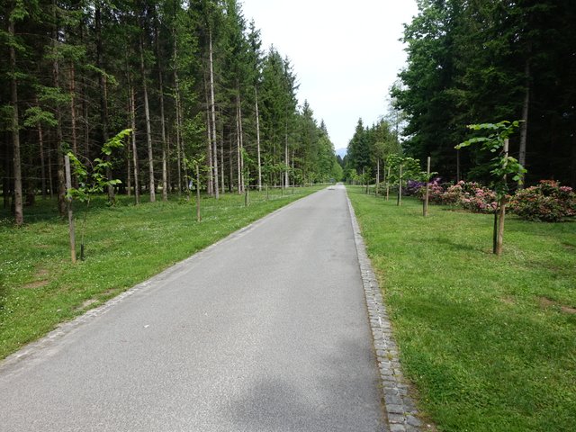 DSC04564.JPG