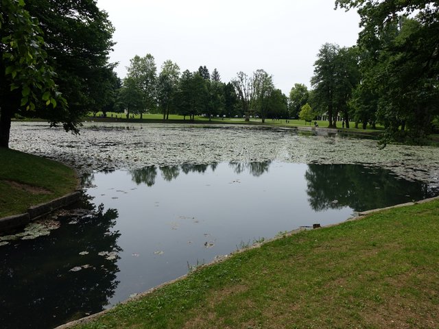 DSC04569.JPG