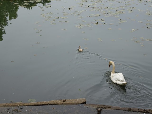 DSC04582.JPG