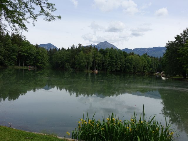 DSC04585.JPG